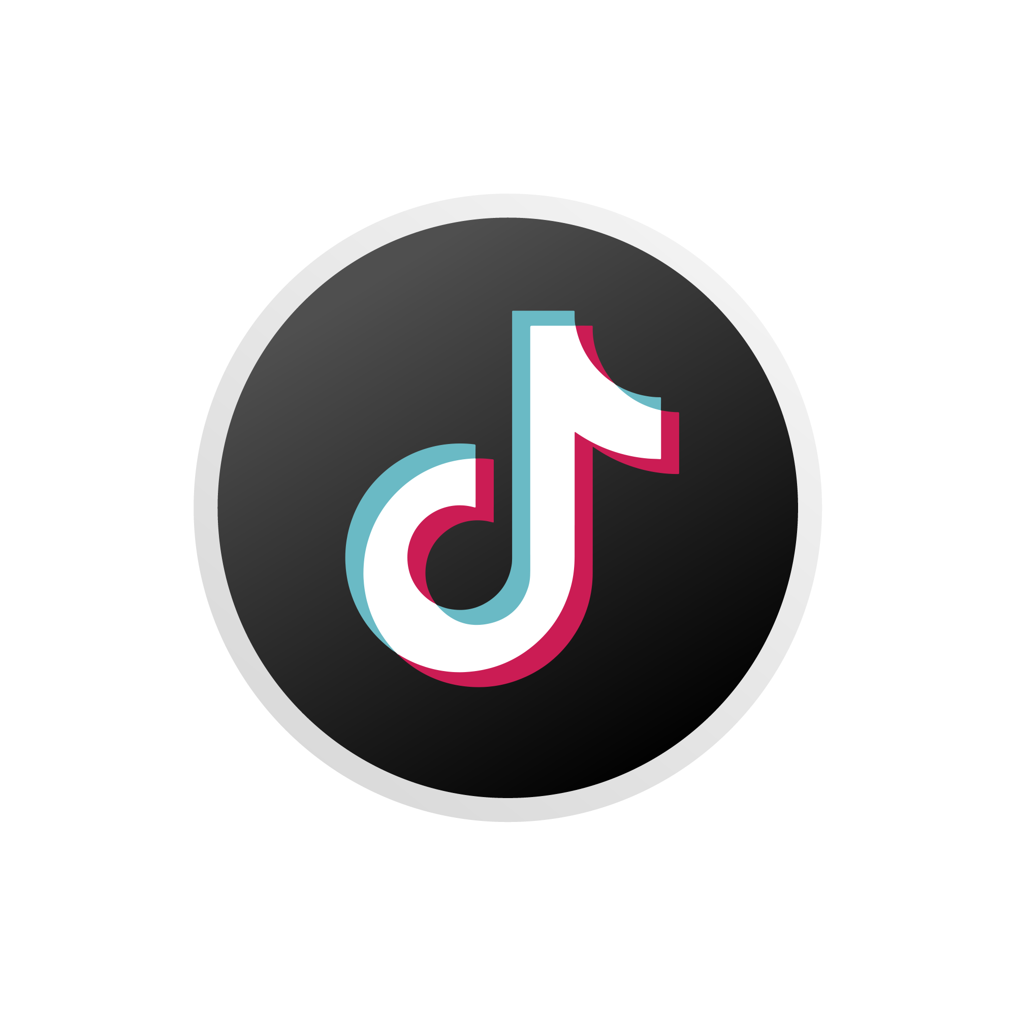 TikTok Icon